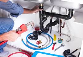 Professional Plumbung Services in Berrien Springs, MI